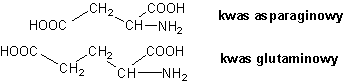 Aminokwasy zawierające grupę karboksylową -COOH